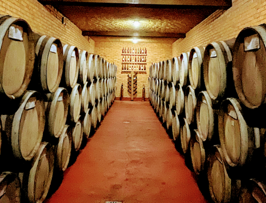Kosova Wine