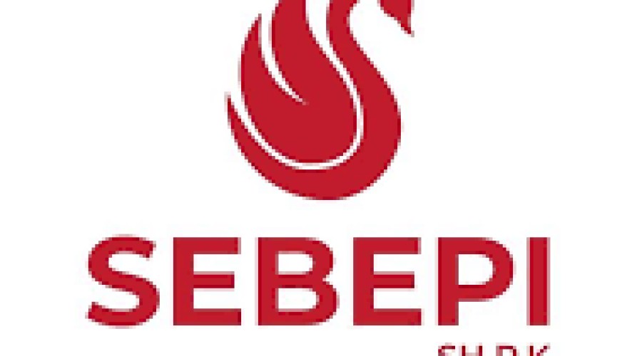 Sebepi SHPK – Agjencia Juaj e Besueshme Imobiliare në Rahovec